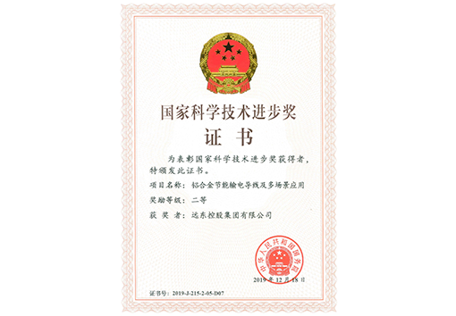 The Second Prize of the National Science and Technology Prog...